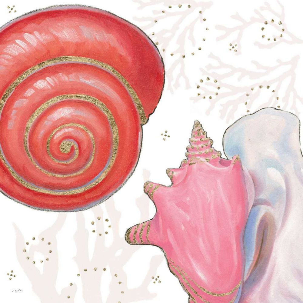 Shimmering Shells IV art print by James Wiens for $57.95 CAD