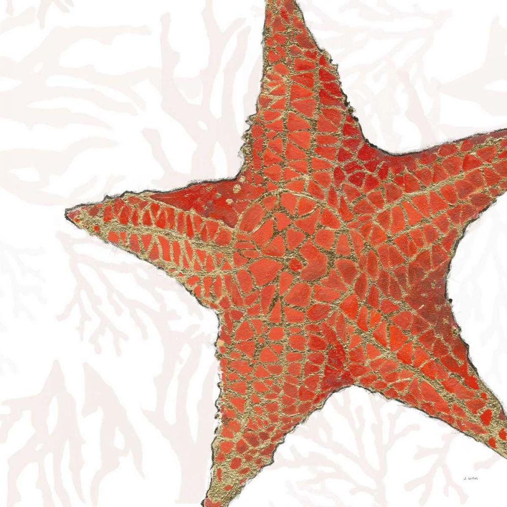 Shimmering Shells XIII art print by James Wiens for $57.95 CAD