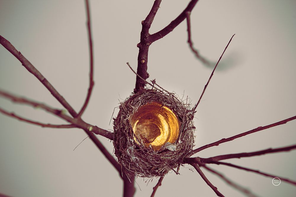 What is Golden art print by Nathan Larson for $57.95 CAD