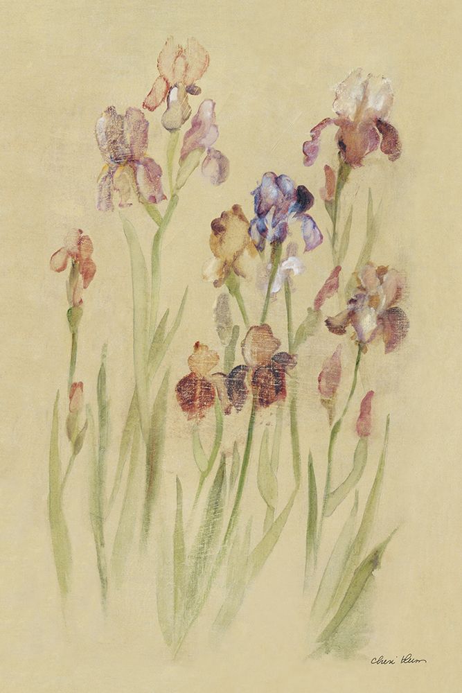 Irises I art print by Cheri Blum for $57.95 CAD
