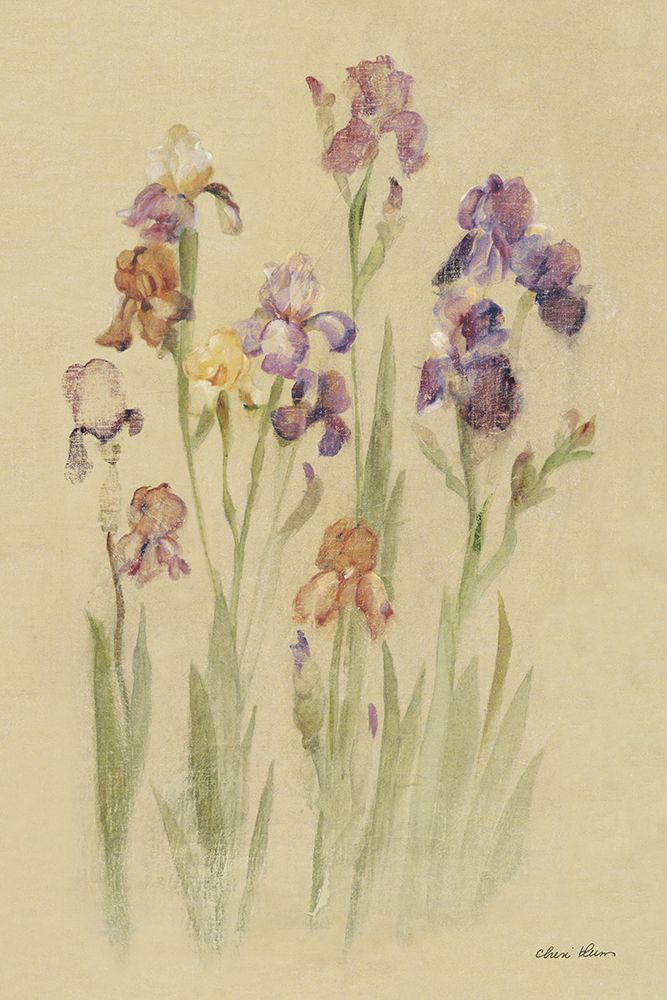 Irises II art print by Cheri Blum for $57.95 CAD