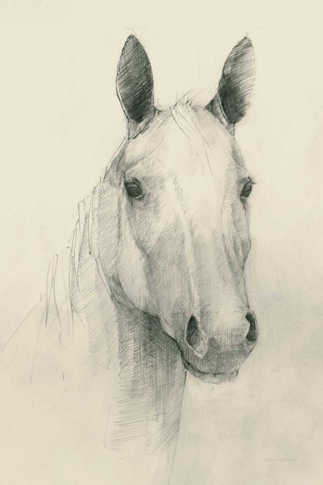 Romeo on Cream art print by Avery Tillmon for $57.95 CAD