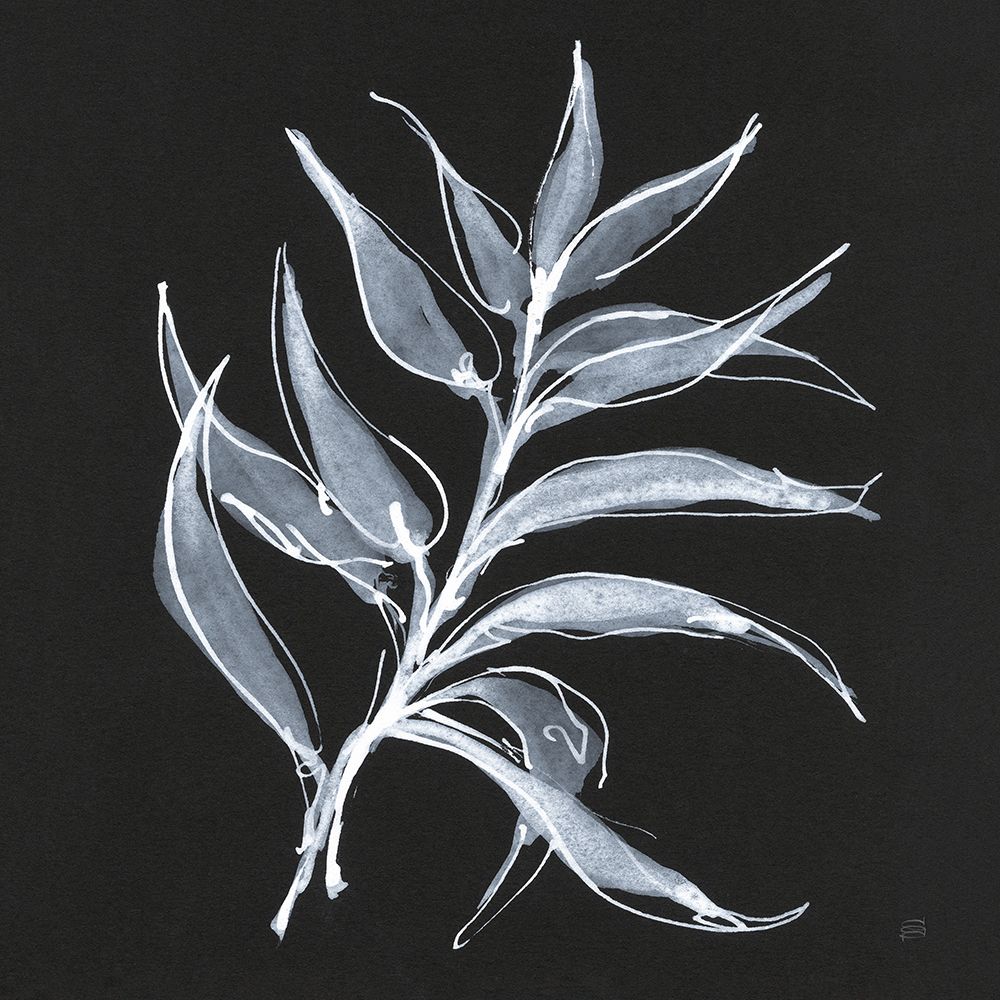 White Fern I art print by Chris Paschke for $57.95 CAD
