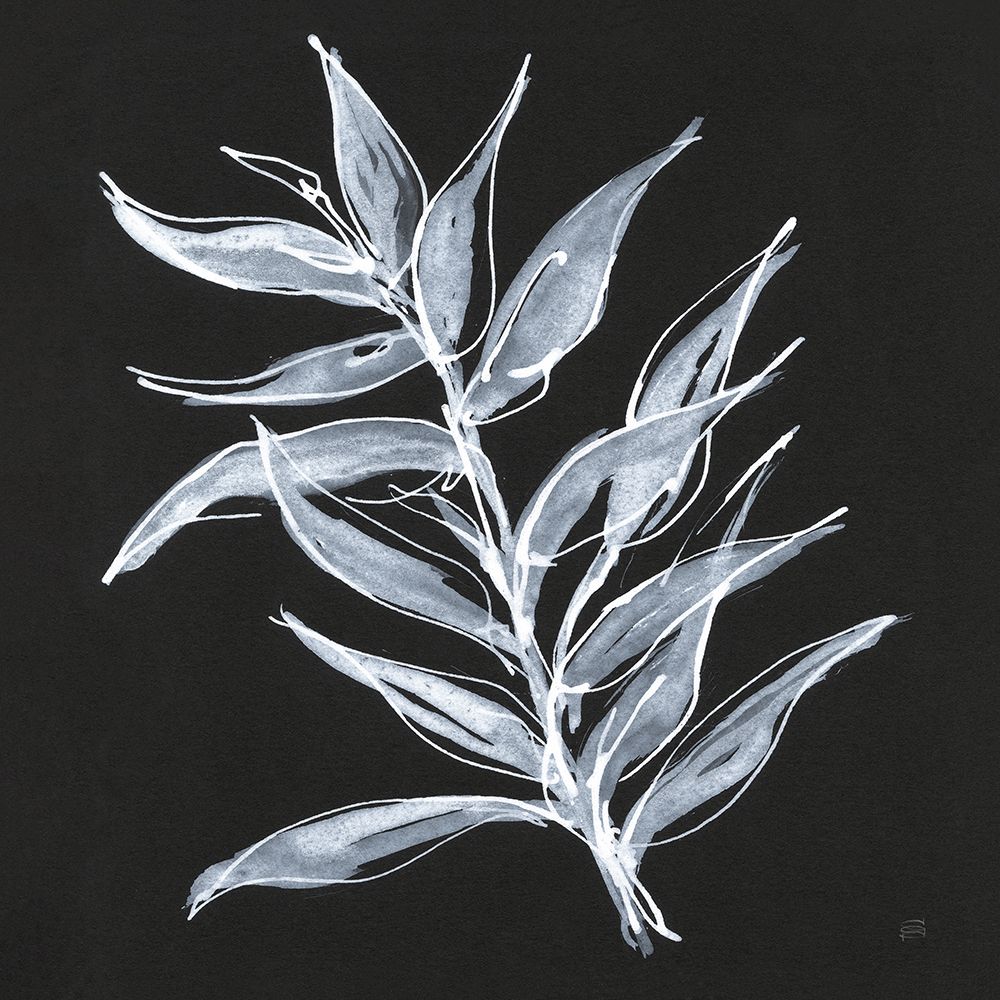 White Fern II art print by Chris Paschke for $57.95 CAD