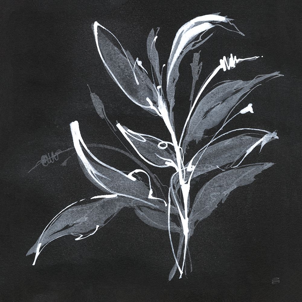 Chalkboard Branch I art print by Chris Paschke for $57.95 CAD