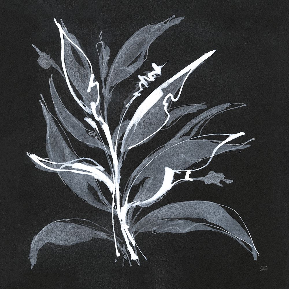 Chalkboard Branch II art print by Chris Paschke for $57.95 CAD