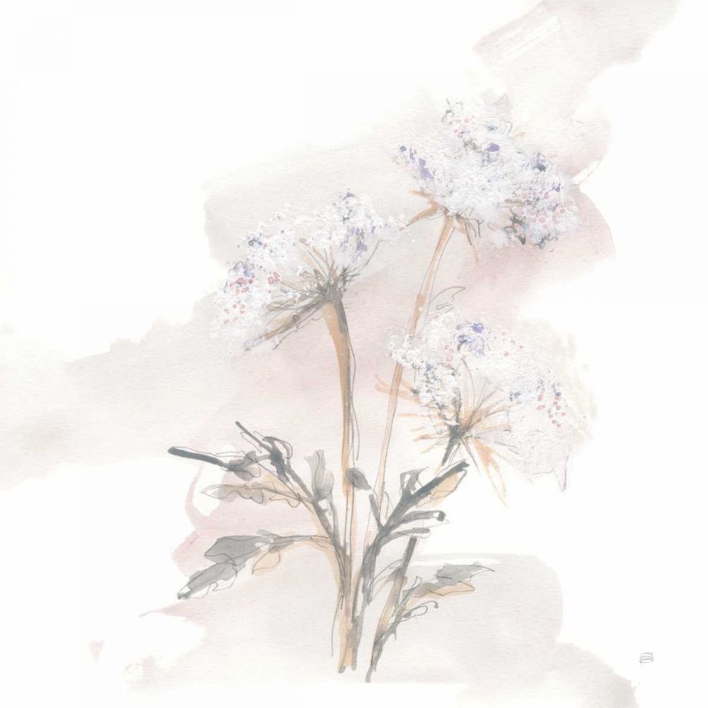 Queen Annes Lace I art print by Chris Paschke for $57.95 CAD
