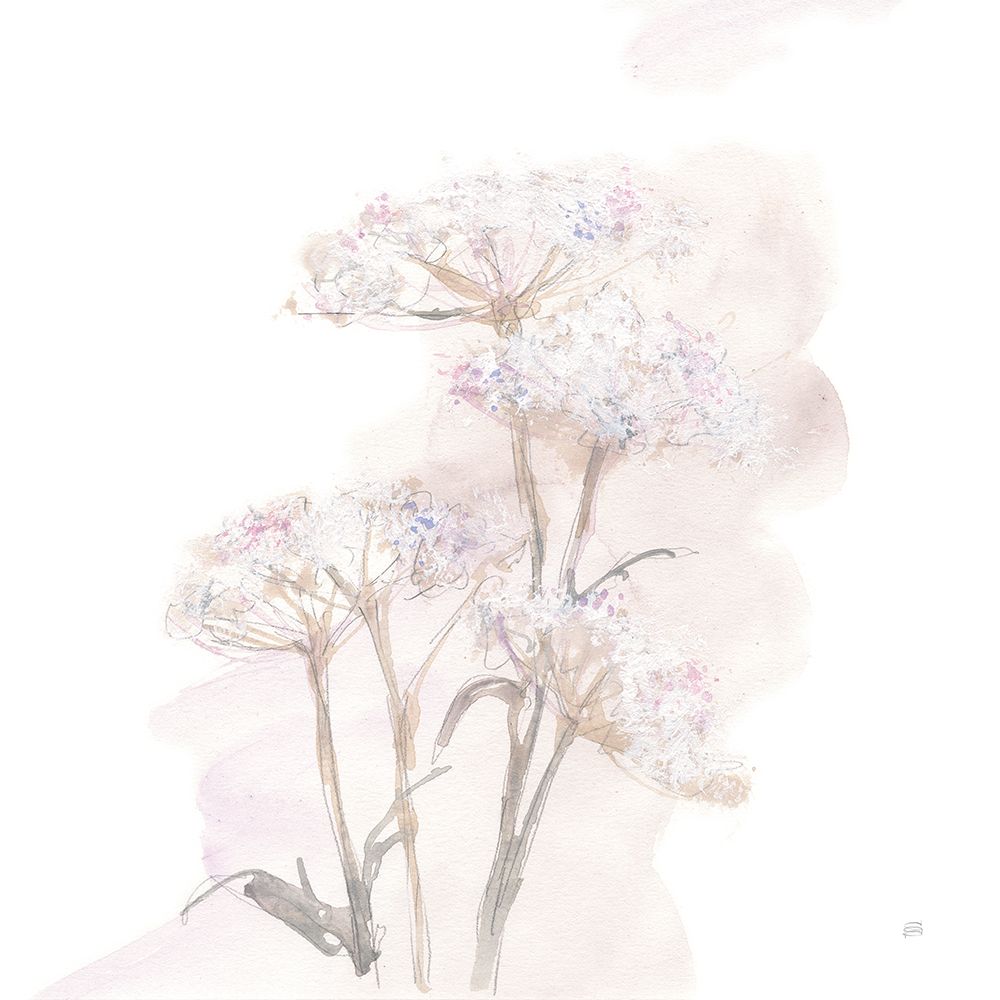 Queen Annes Lace V art print by Chris Paschke for $57.95 CAD