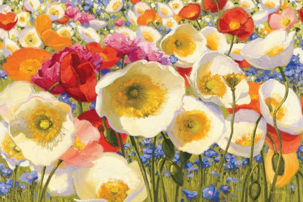 Sunny Abundance art print by Shirley Novak for $57.95 CAD