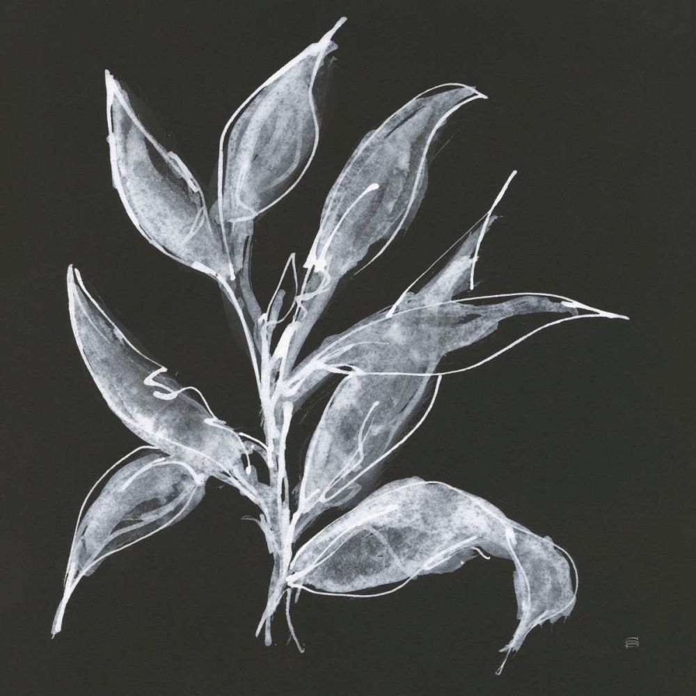Branch III art print by Chris Paschke for $57.95 CAD