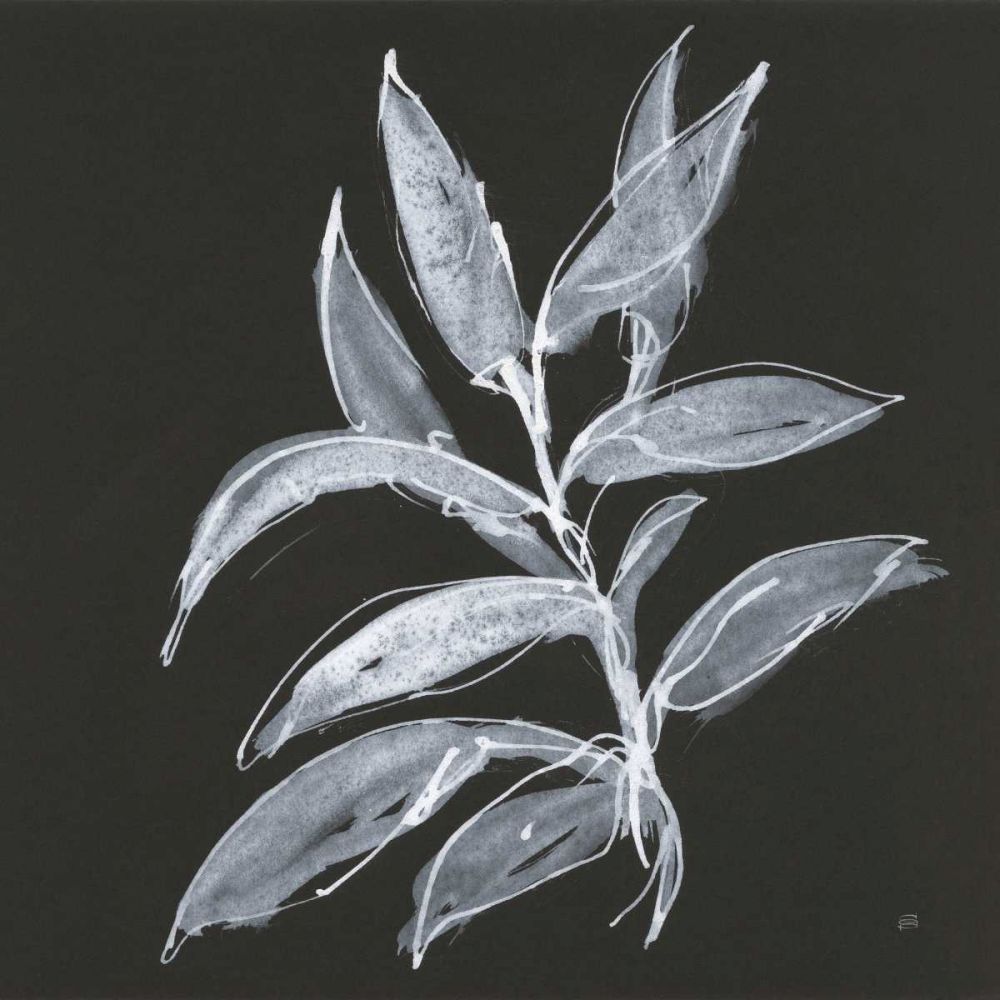 Branch IV art print by Chris Paschke for $57.95 CAD