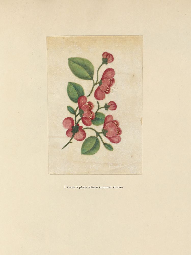 Textbook Floral art print by Wild Apple Portfolio for $57.95 CAD