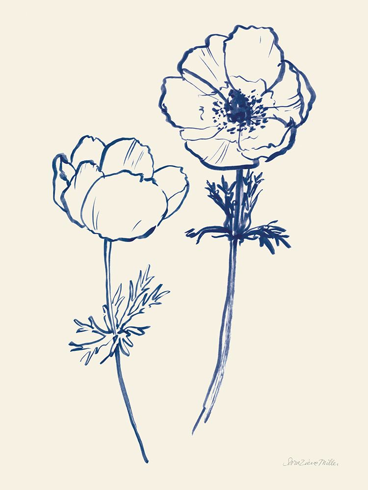 Ink Anemones II art print by Sara Zieve Miller for $57.95 CAD
