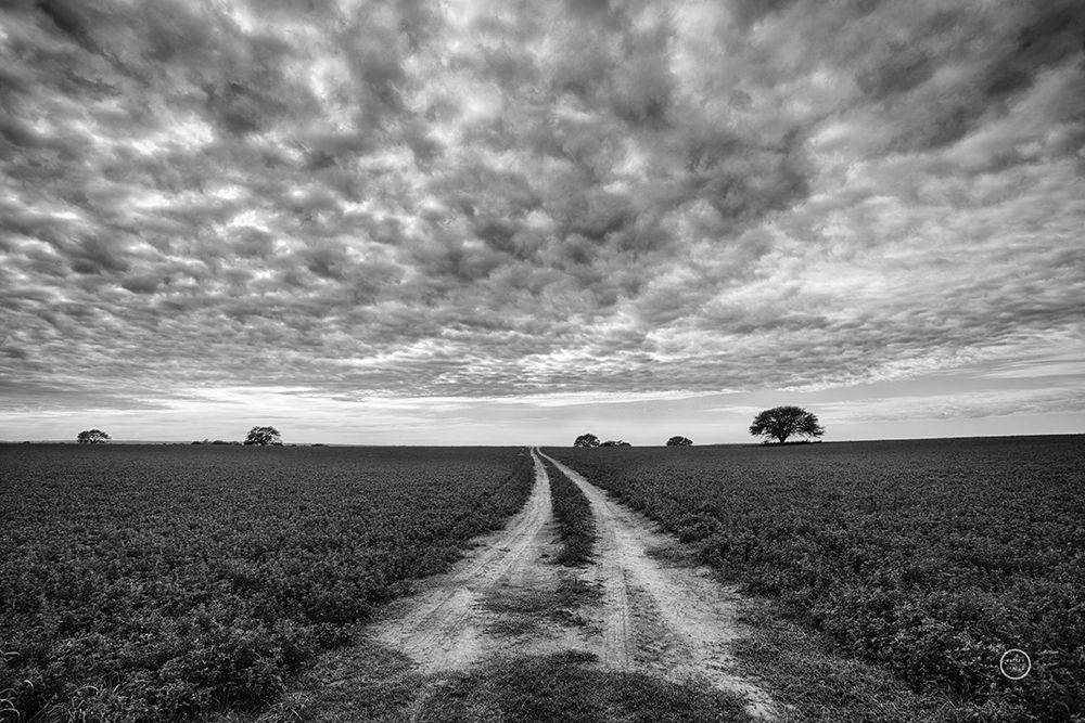 Farm Road art print by Nathan Larson for $57.95 CAD