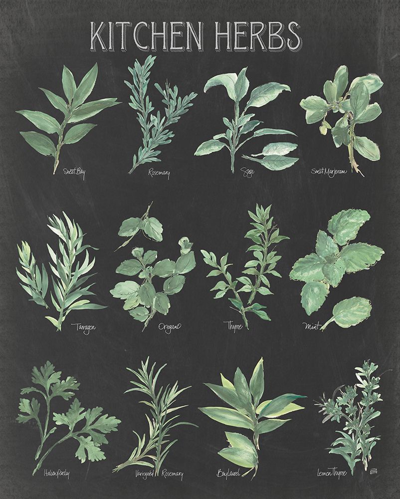 Kitchen Herb Chart on Black I art print by Chris Paschke for $57.95 CAD