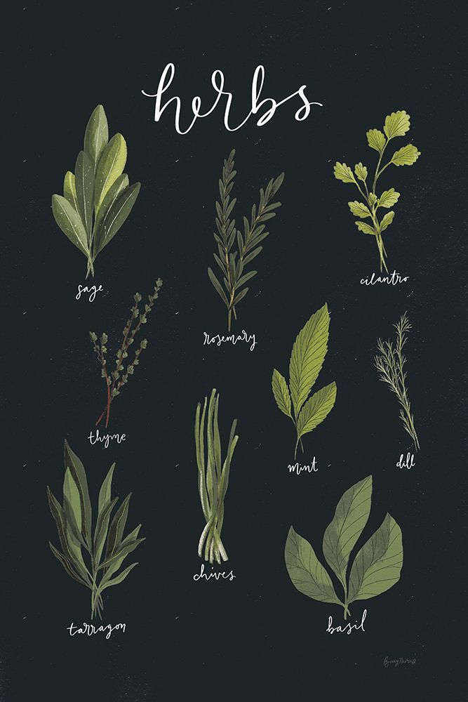 Light Green Herbs I Black art print by Becky Thorns for $57.95 CAD