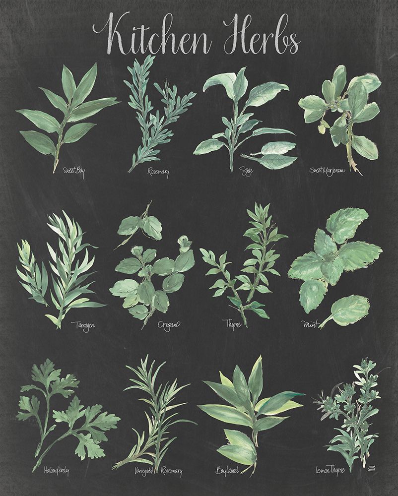 Kitchen Herb Chart on Black II art print by Chris Paschke for $57.95 CAD