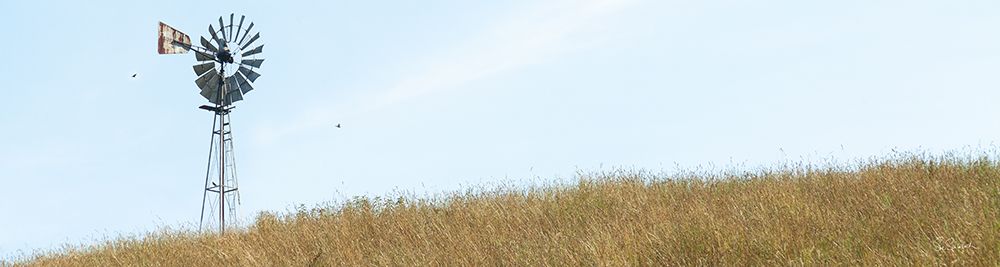 Heartland Windmill art print by Sue Schlabach for $57.95 CAD