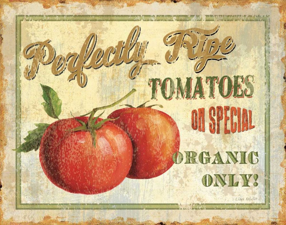 Fresh III art print by Lisa Audit for $57.95 CAD