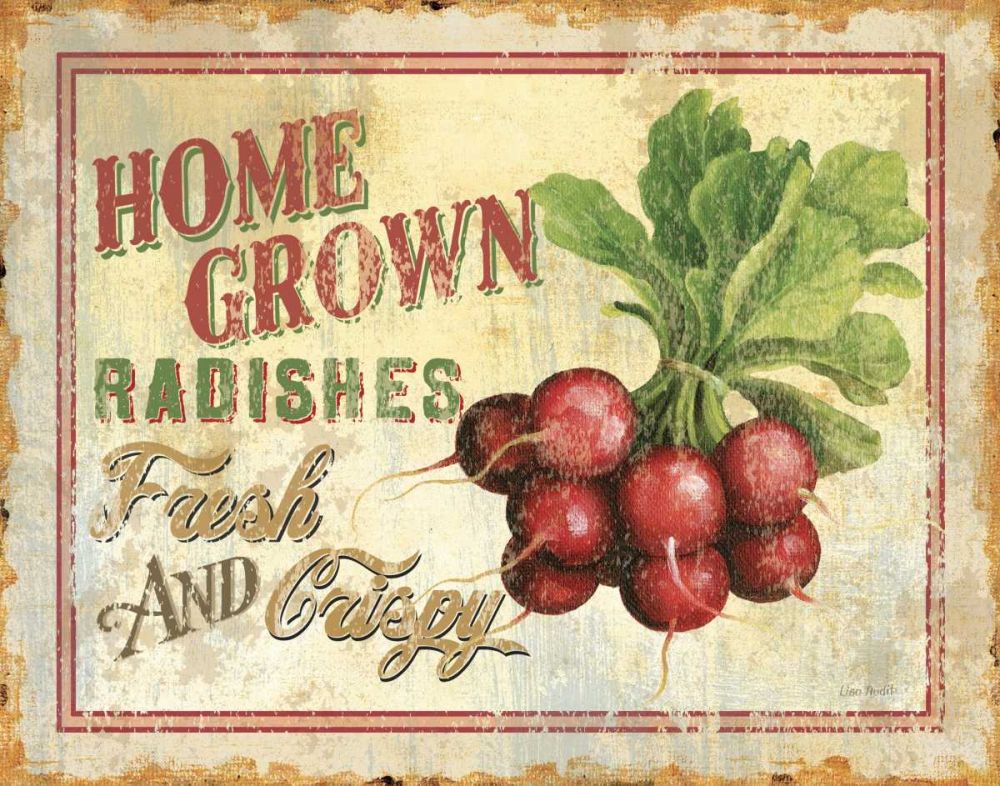 Fresh IV art print by Lisa Audit for $57.95 CAD