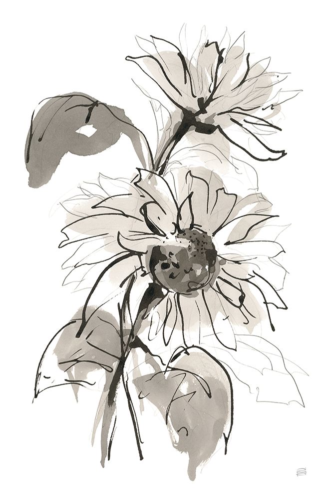 Ink Sunflower II art print by Chris Paschke for $57.95 CAD