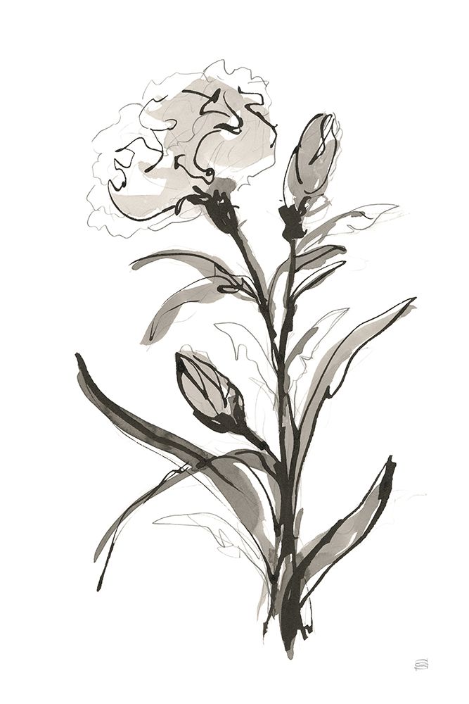 Carnation I art print by Chris Paschke for $57.95 CAD
