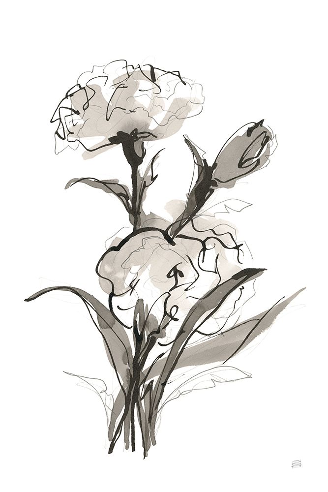 Carnation II art print by Chris Paschke for $57.95 CAD