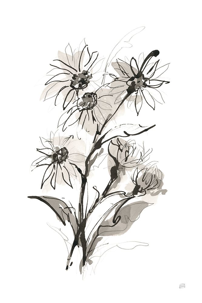Daisy I art print by Chris Paschke for $57.95 CAD