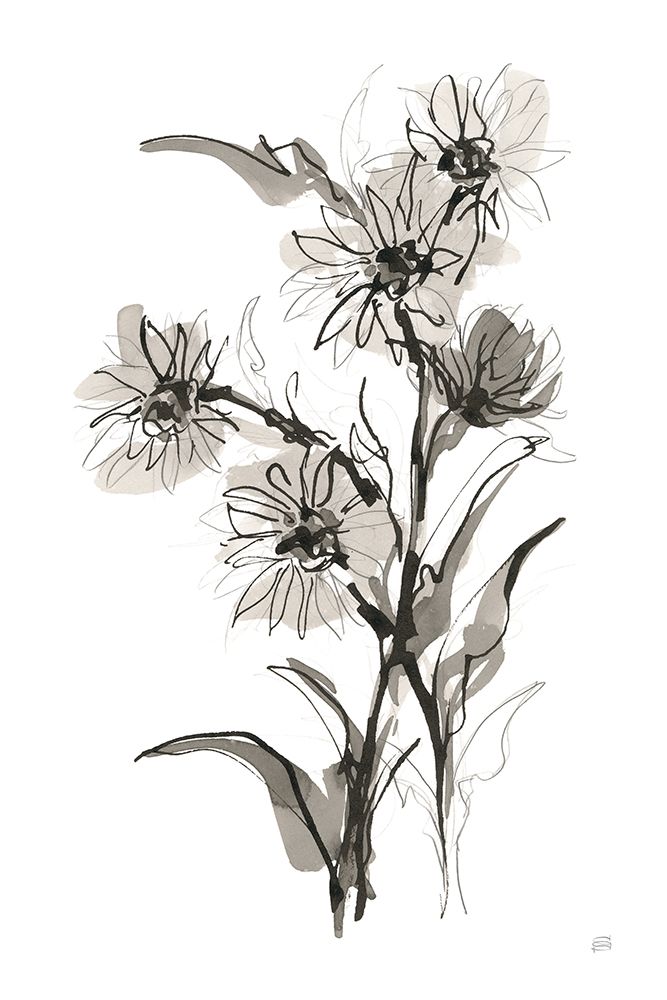 Daisy II art print by Chris Paschke for $57.95 CAD