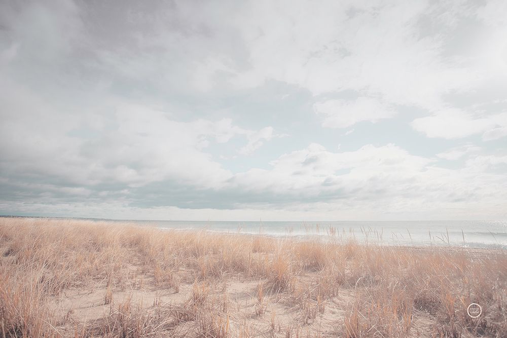 Deserted Sands art print by Nathan Larson for $57.95 CAD