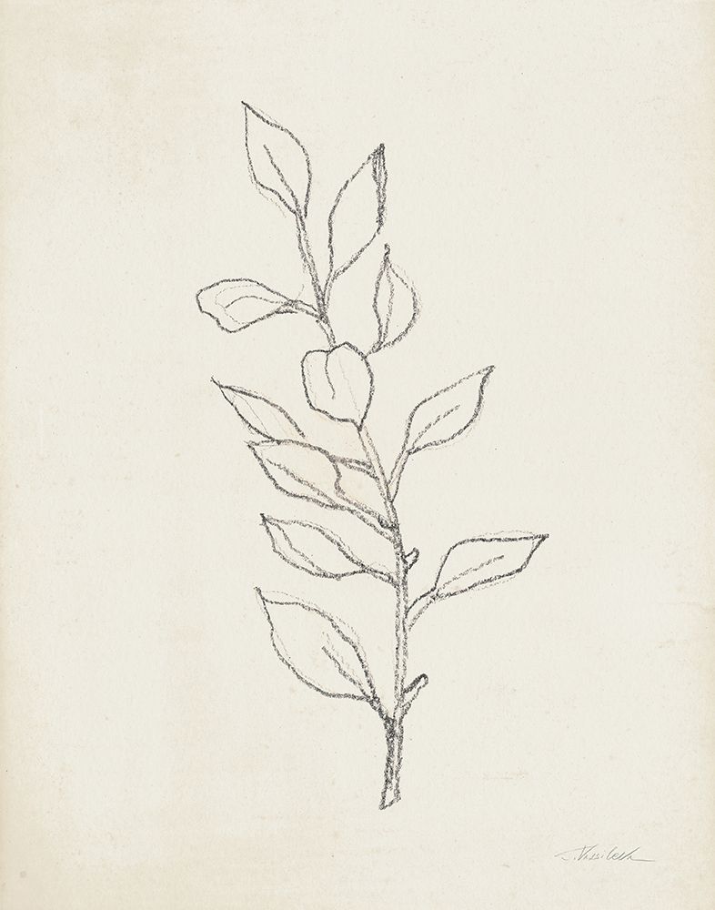 August Branch II art print by Silvia Vassileva for $57.95 CAD