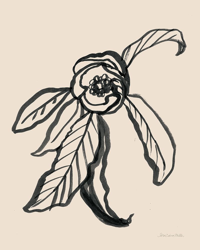 Ink Sketch Flower art print by Sara Zieve Miller for $57.95 CAD