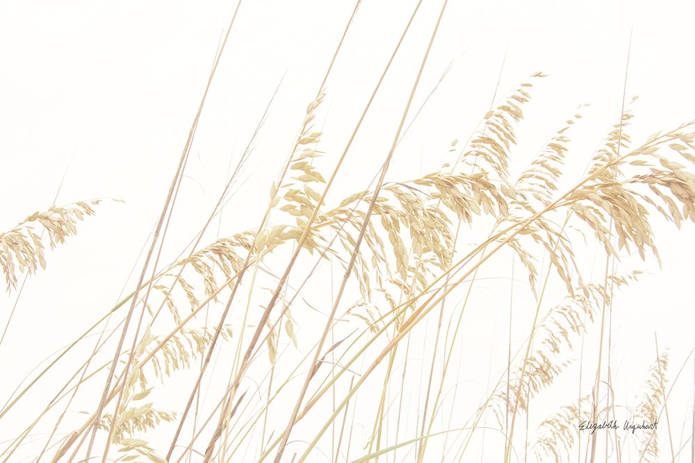 Blowing in the Wind I art print by Elizabeth Urquhart for $57.95 CAD
