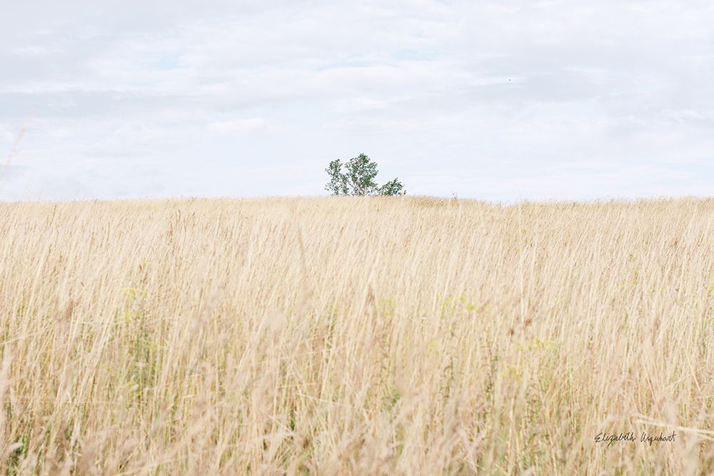 On the Edge I art print by Elizabeth Urquhart for $57.95 CAD
