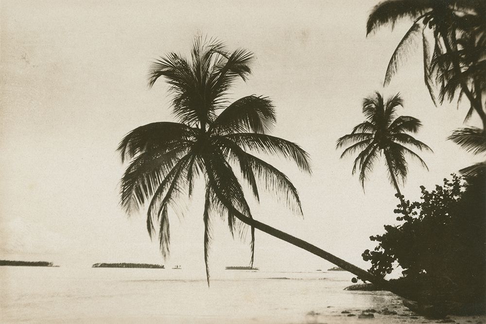 Palm Beach I art print by Wild Apple Portfolio for $57.95 CAD