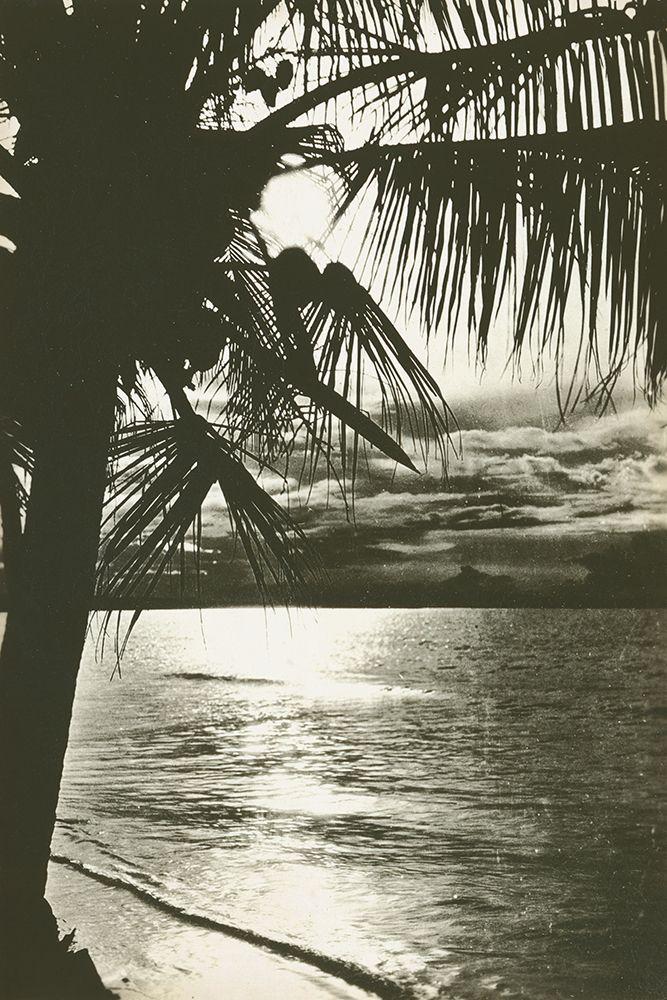 Palm Beach II art print by Wild Apple Portfolio for $57.95 CAD