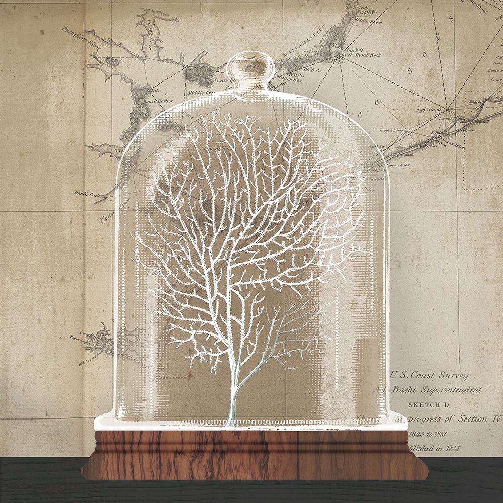 Coral Cloche I art print by Wild Apple Portfolio for $57.95 CAD