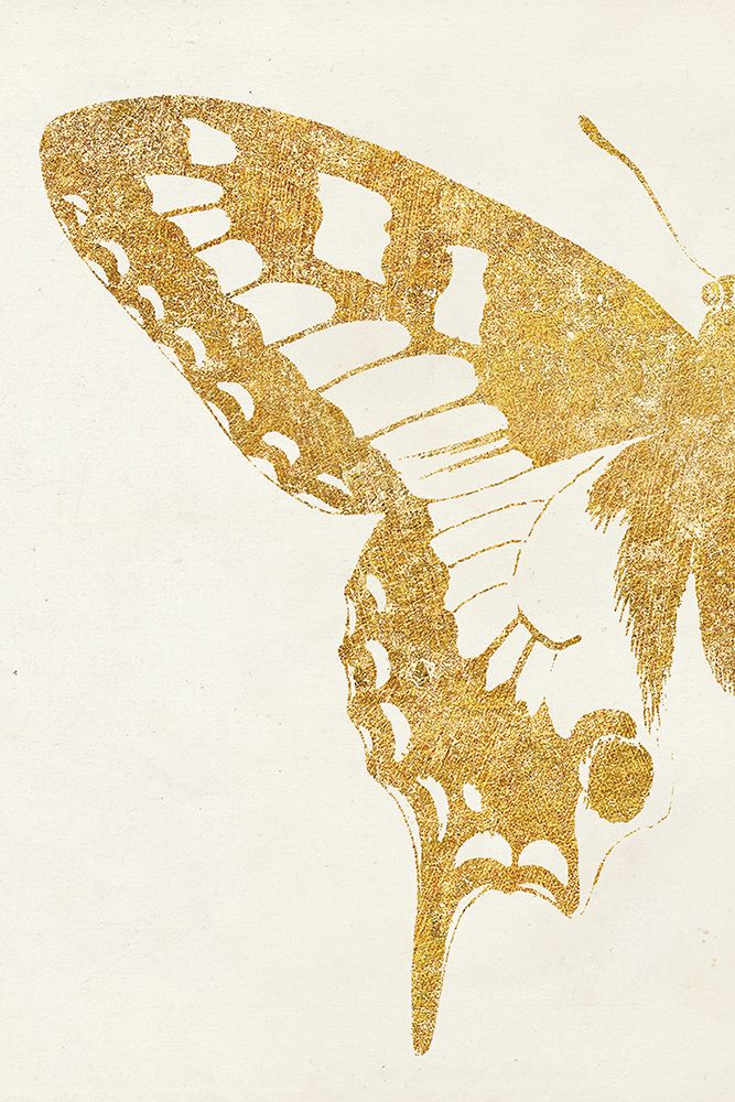 Butterfly Wings I art print by Wild Apple Portfolio for $57.95 CAD