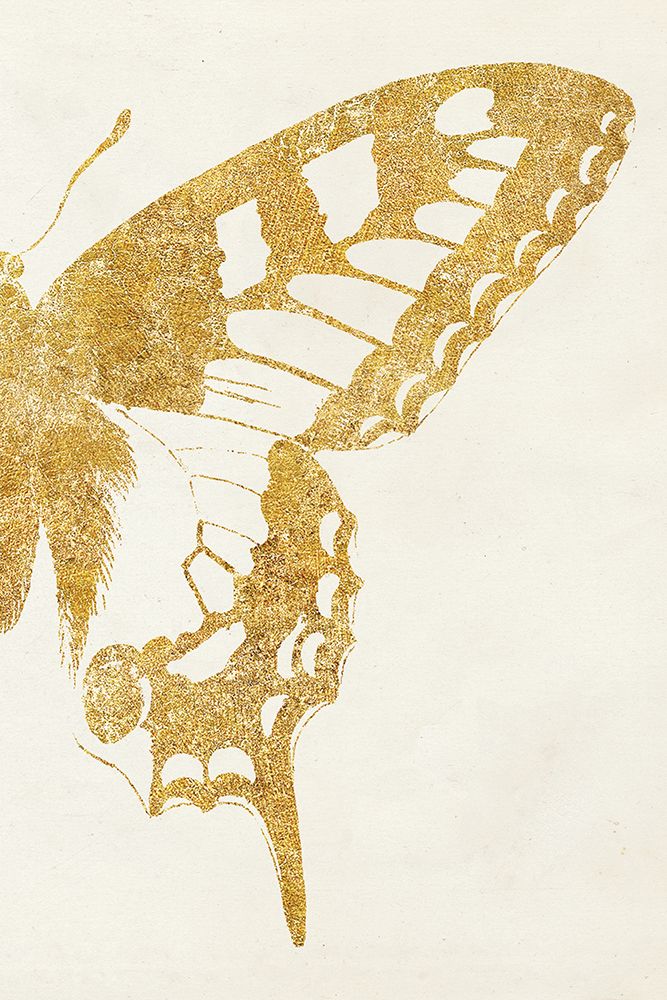 Butterfly Wings II art print by Wild Apple Portfolio for $57.95 CAD