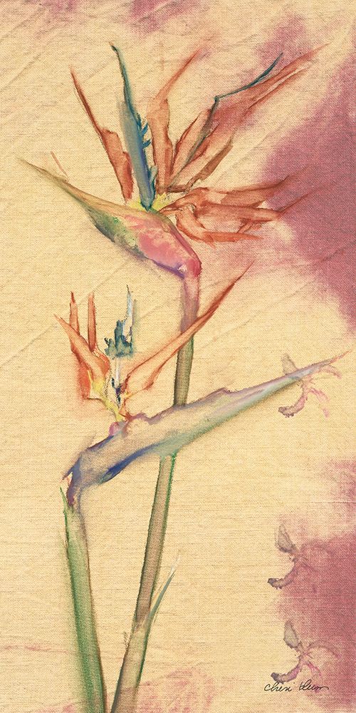 Tropical Floral II art print by Cheri Blum for $57.95 CAD