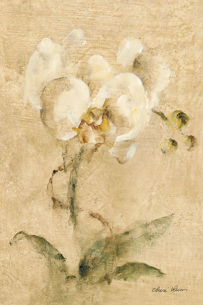 Southern Floral I art print by Cheri Blum for $57.95 CAD