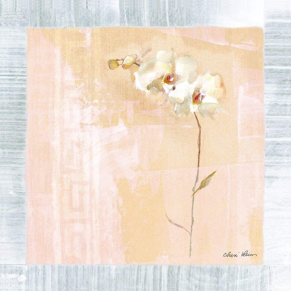Graceful Orchids IV art print by Cheri Blum for $57.95 CAD