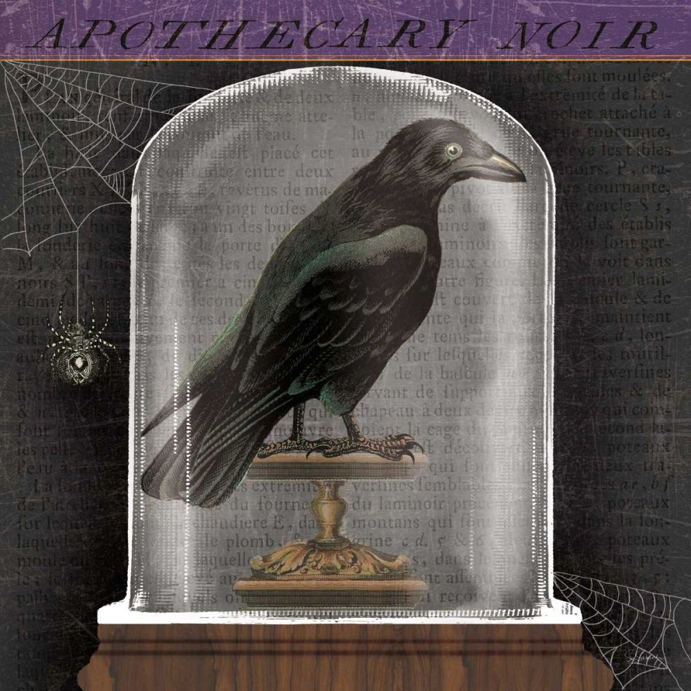 Apothecary Noir I art print by Sue Schlabach for $57.95 CAD