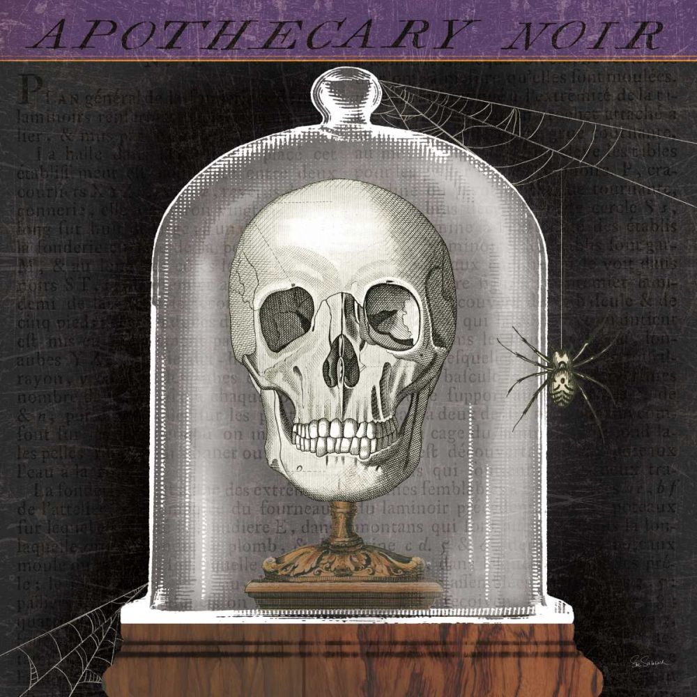 Apothecary Noir III art print by Sue Schlabach for $57.95 CAD