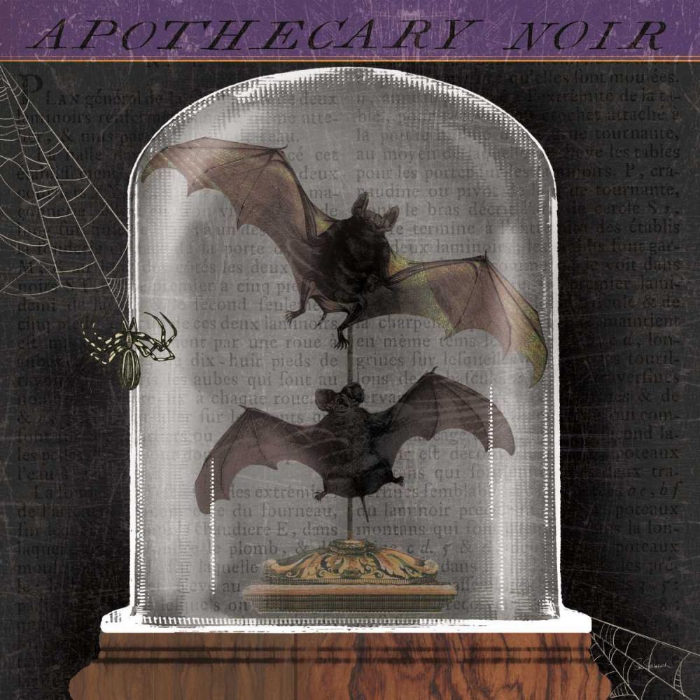 Apothecary Noir IV art print by Sue Schlabach for $57.95 CAD