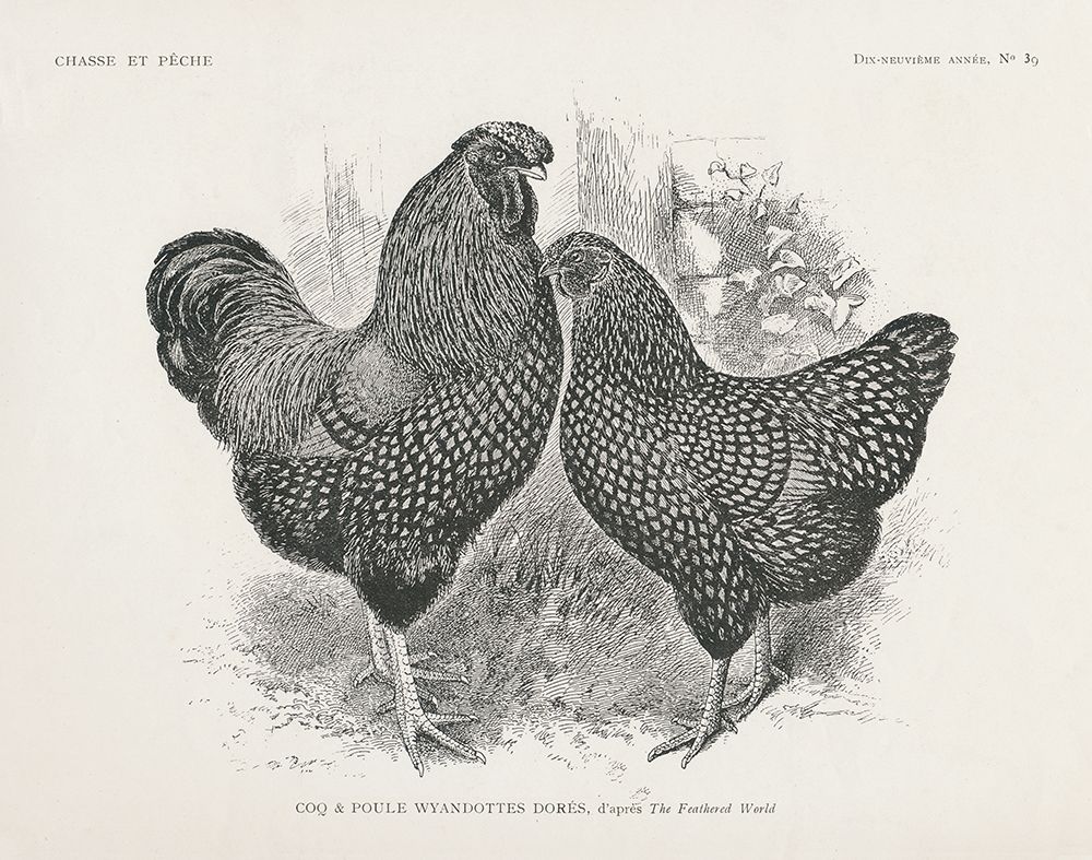 Vintage Farm Life I art print by Wild Apple Portfolio for $57.95 CAD