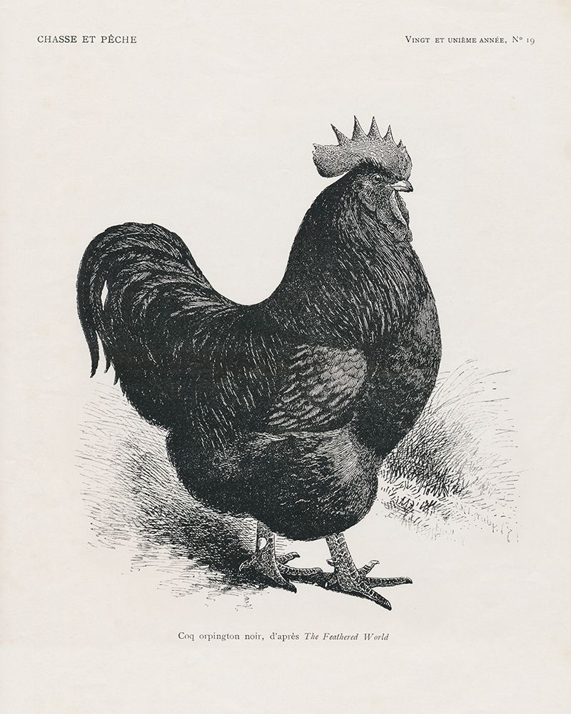 Vintage Farm Life II art print by Wild Apple Portfolio for $57.95 CAD
