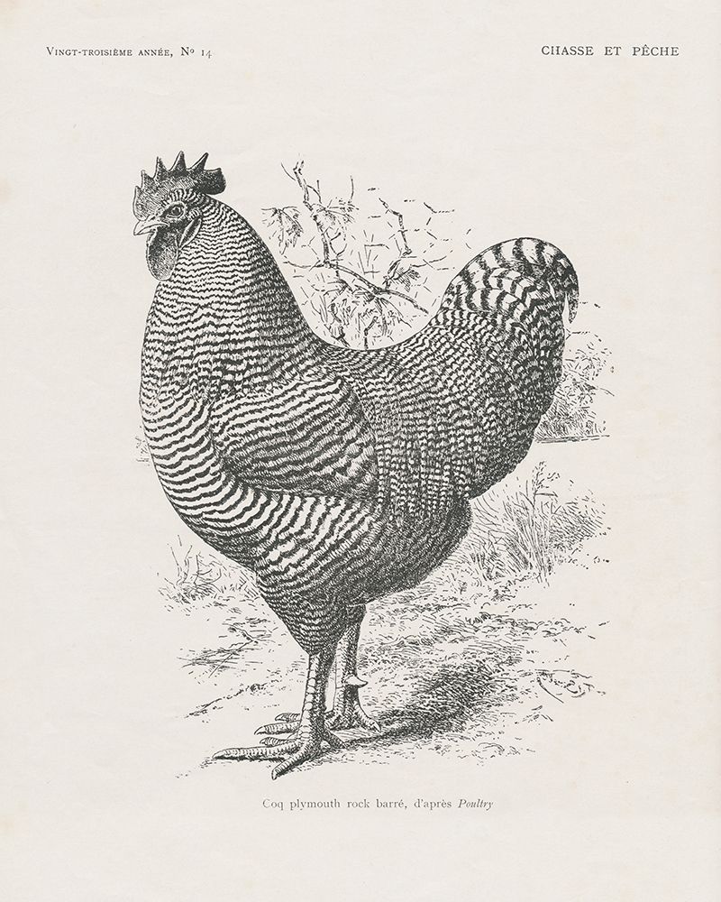 Vintage Farm Life III art print by Wild Apple Portfolio for $57.95 CAD