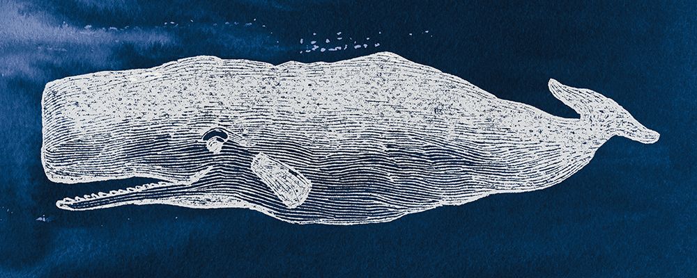 Whale on Blue art print by Wild Apple Portfolio for $57.95 CAD