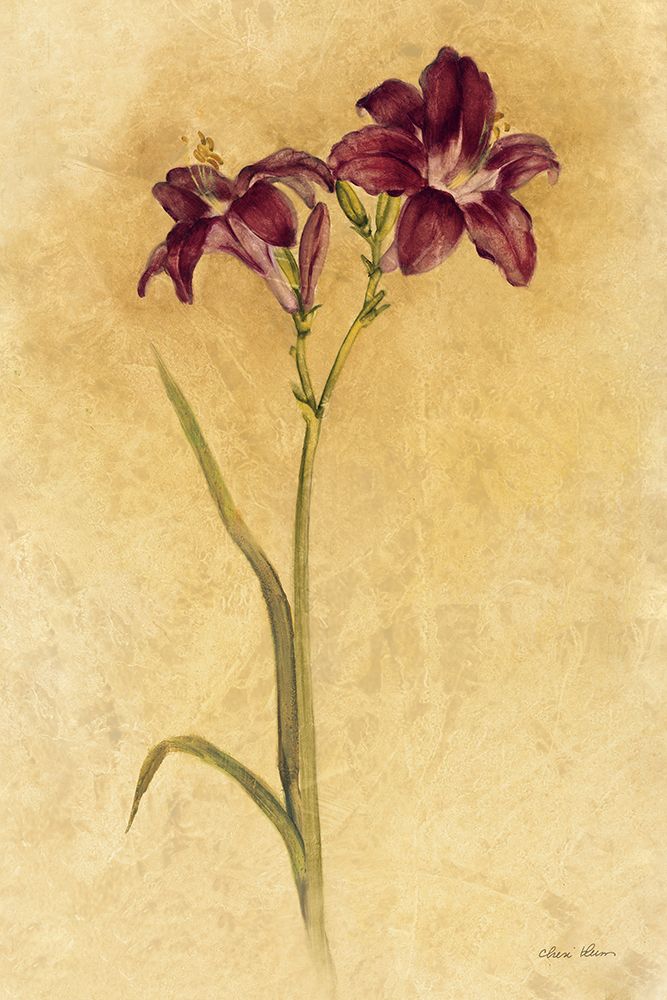 Purple Day Lily art print by Cheri Blum for $57.95 CAD